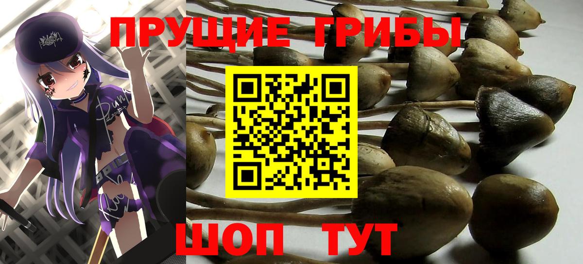 Галлюциногенные грибы MAGIC MUSHROOMS  хочу   Вход с VPN  Десногорск  Галлюциногенные грибы мухоморы 